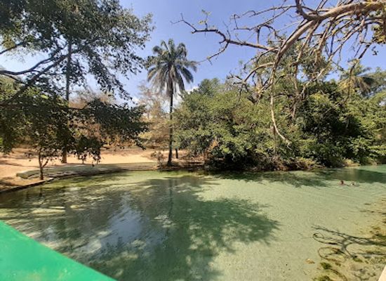 nigeria/north-east/landmark/wikki-warm-springs