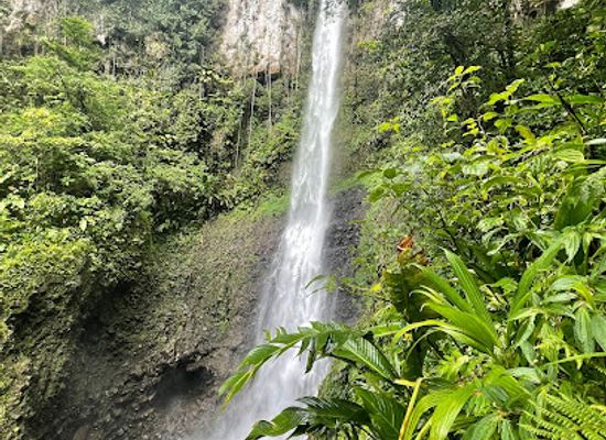 dominica/roseau/landmark/middleham-falls-dominica