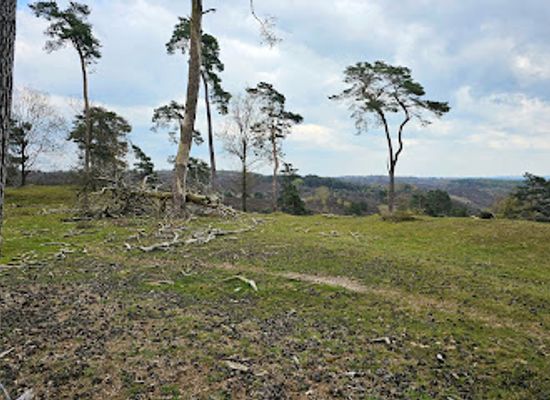 netherlands/veluwe/landmark/posbank