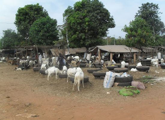 the-gambia/kombo-north/landmark/brikama-craft-market