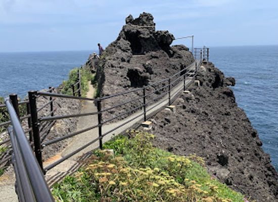japan/izu/landmark/cape-irozaki