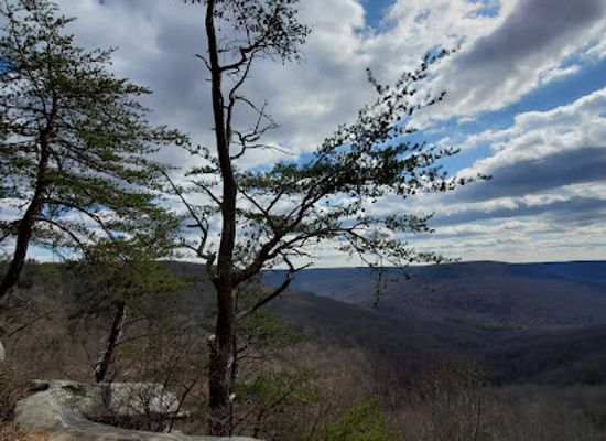 tennessee/upper-cumberland/landmark/virgin-falls-state-natural-area
