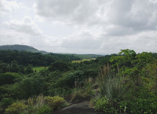 sri-lanka/western-province/landmark/lunugama-raja-peella