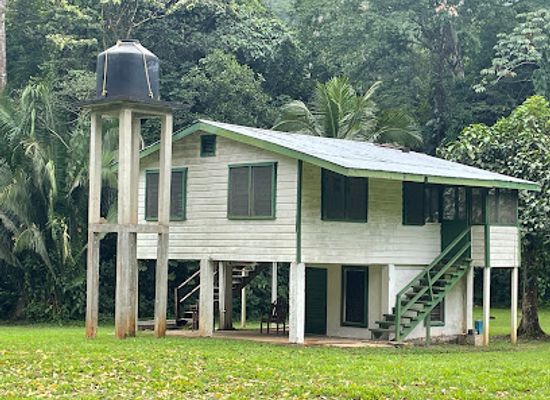 belize/cockscomb-basin-wildlife-sanctuary/landmark/white-house-cabin-cockscomb-basin-wildlife-sanctuary