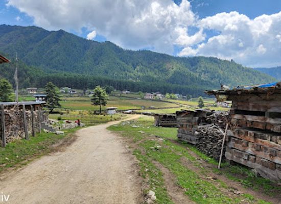 bhutan/phobjikha-valley/landmark/gangtey-monastery