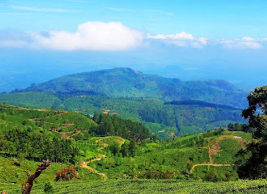 sri-lanka/badulla-district/landmark/lipton-s-seat