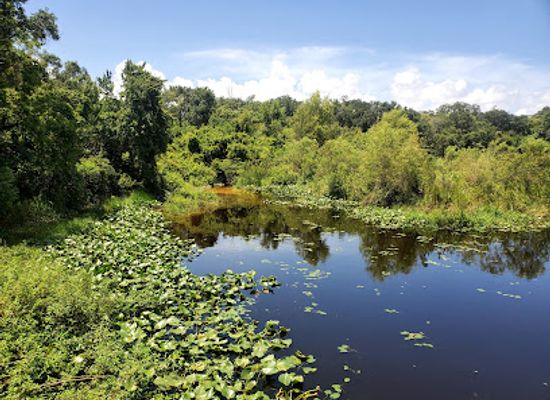florida/clearwater/landmark/moccasin-lake-nature-park
