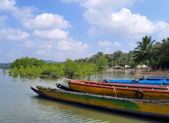 india/andaman-and-nicobar-islands/landmark/baratang-island
