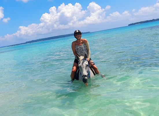 vanuatu/espiritu-santo/landmark/santo-horse-adventures