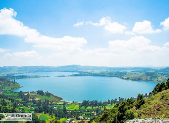 ethiopia/oromia-region/landmark/lake-dendi-haroo-dandii