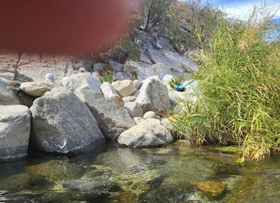 mexico/baja-california-peninsula/landmark/santa-rita-hot-springs
