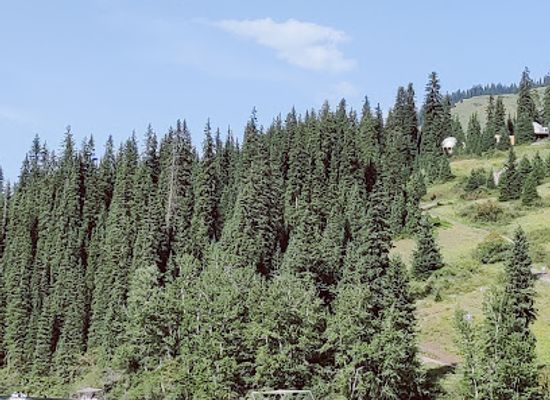 kazakhstan/kolsai-lakes-national-park/landmark/kolsai-travel