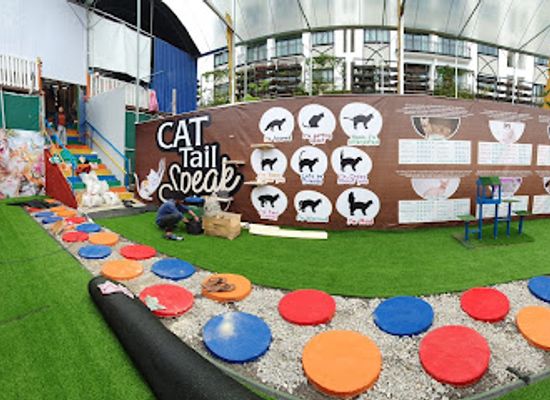 malaysia/cameron-highlands/landmark/cat-house-cameron-highlands