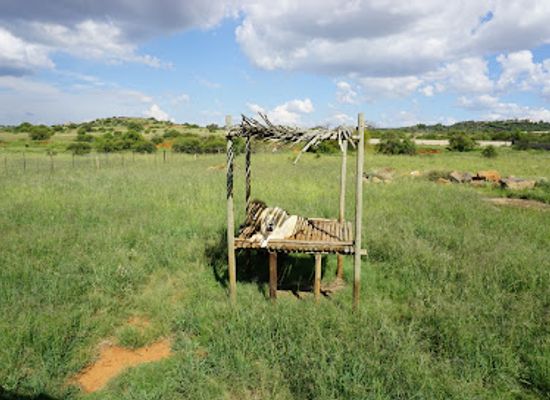 south-africa/waterberg/landmark/cheetah-experience-za-cheetah-conservation