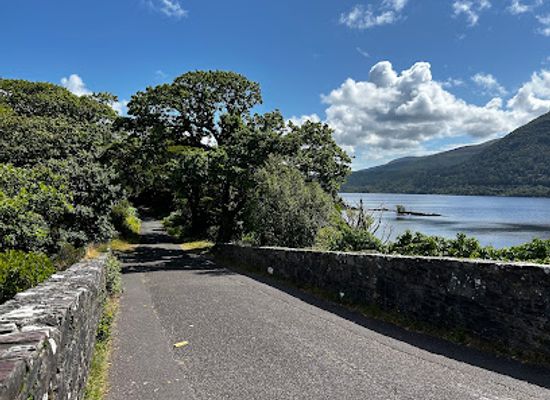 ireland/county-kerry/landmark/brickeen-bridge