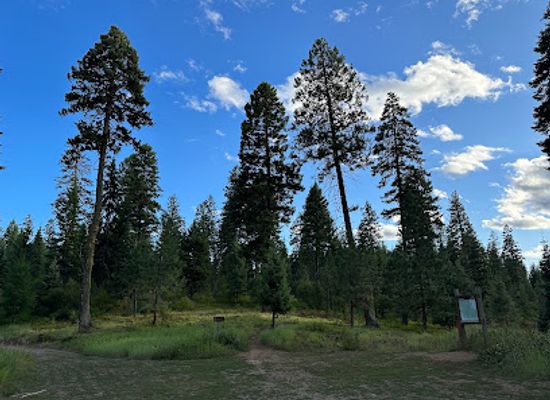 idaho/mccall/landmark/bear-basin-trailhead