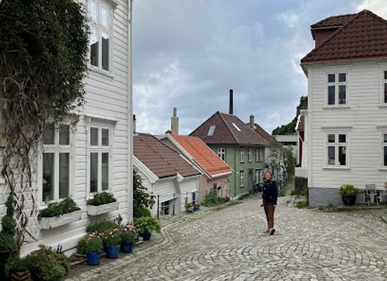 norway/bergen/bryggen/landmark/old-bergen-house-for-walking