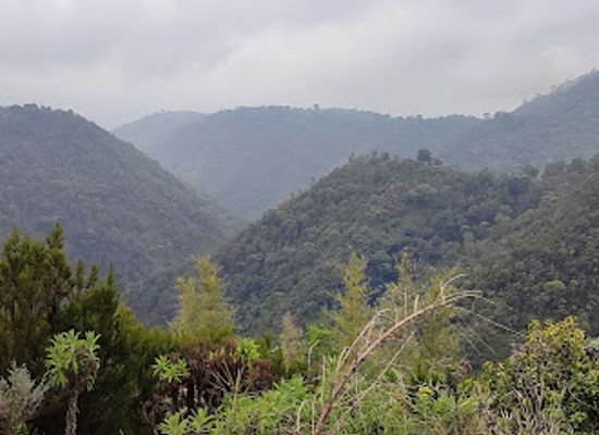 kenya/aberdare-national-park/landmark/mount-kipipiri