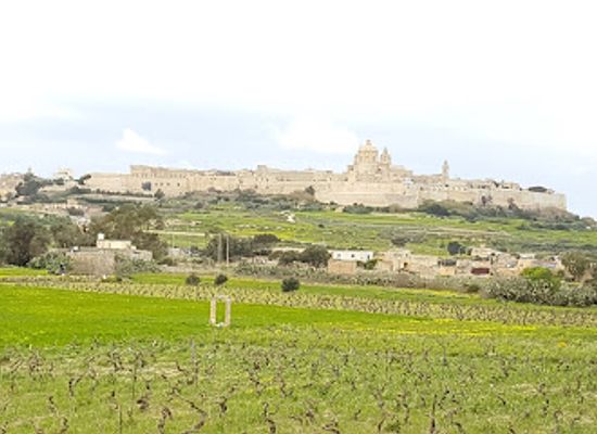 malta/western-region/landmark/park-nazzjonali-ta-qali