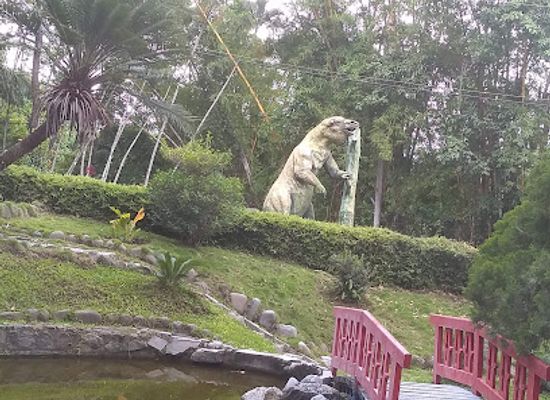 el-salvador/san-salvador/landmark/museum-of-natural-history-of-el-salvador