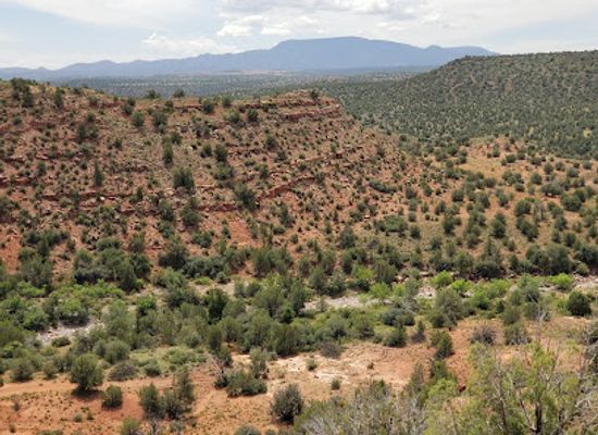 arizona/yavapai-county/landmark/prescott-national-forest