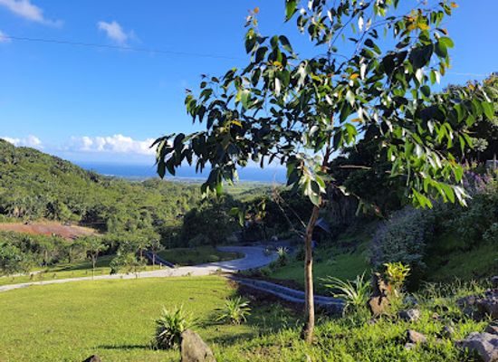 mauritius/ile-aux-cerfs/landmark/la-vallee-des-couleurs-nature-park