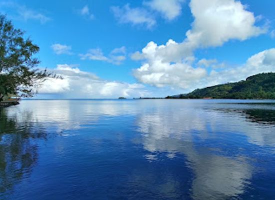 french-polynesia/tahiti-iti/landmark/harrison-smith-botanical-garden