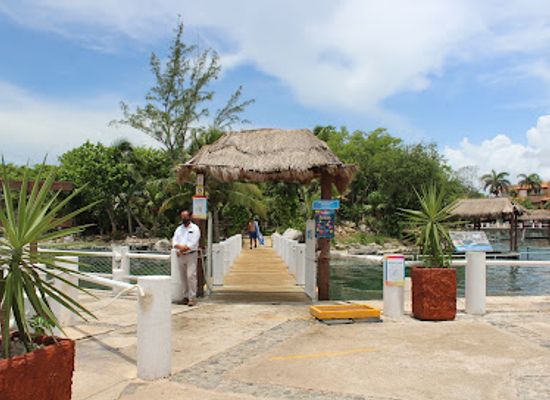 mexico/cozumel/puerto-aventuras/landmark/dolphin-discovery-riviera-maya