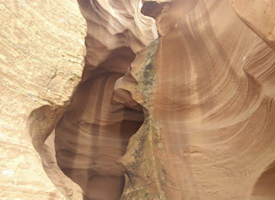 arizona/page/landmark/pow-wow-trading-post