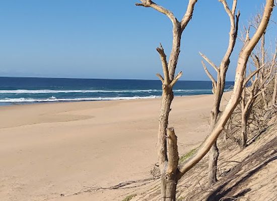 south-africa/elephant-coast/landmark/sodwana-bay