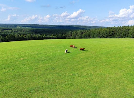 poland/roztocze/landmark/white-hill-lookout-tower