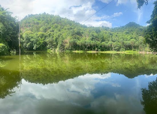 thailand/western-thailand/landmark/tree-top-adventure-park-kanchanaburi