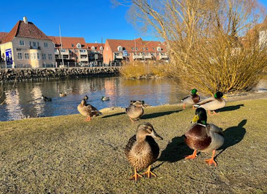denmark/odense/attraction/munke-mose-park