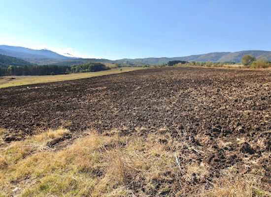 bulgaria/vitosha-mountain/landmark/new-forest-sofia