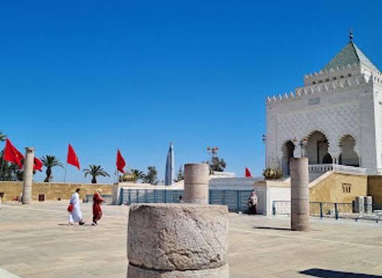 morocco/rabat/hassan-tower/landmark/hassan-tower-pigeon-garden