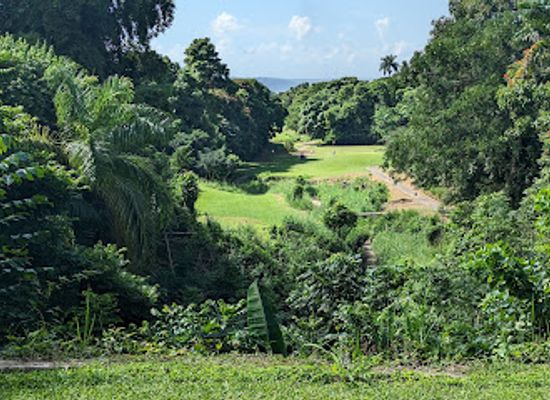 jamaica/liguanea-plains/landmark/constant-spring-golf-club