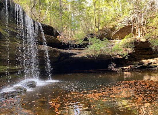alabama/upland-south/landmark/bankhead-national-forest