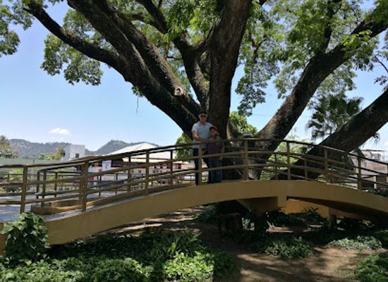 dominican-republic/jarabacoa/landmark/duarte-jarabacoa-park