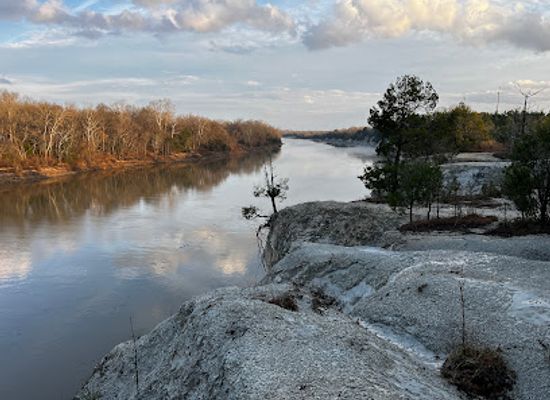 alabama/river-region/landmark/white-cliffs-of-epes