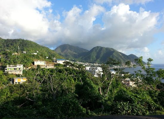 dominica/mahaut/landmark/dominica-botanical-gardens