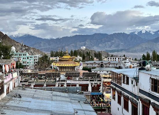 india/ladakh/landmark/central-asian-museum