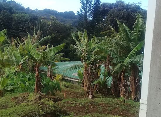 grenada/annandale-falls/landmark/annandale-st-george-s