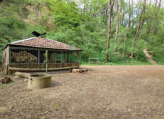 czechia/brno/brno-bystrc/landmark/lesni-areal-a-zastresene-ohniste