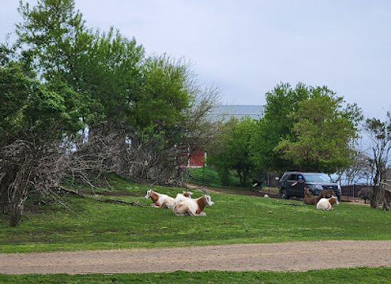 wisconsin/lake-geneva/landmark/safari-lake-geneva-online-reservations-required
