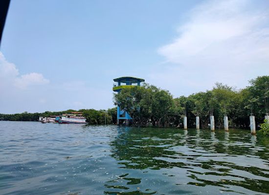 bangladesh/tanguar-haor/landmark/haor-view-point