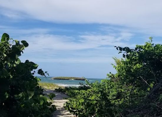 puerto-rico/caribbean-national-forest/landmark/bosque-estatal-de-pinones