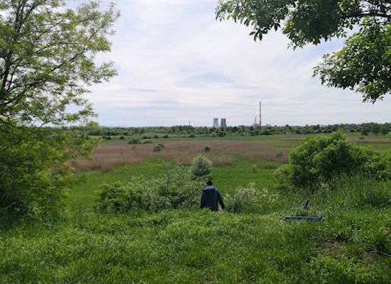 poland/krakow/nowa-huta/landmark/laki-nowohuckie-w-krakowie