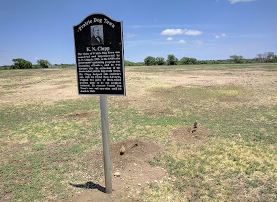 texas/lubbock/north-overton/landmark/prairie-dog-town