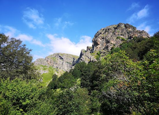 bulgaria/stara-planina/landmark/central-balkan-national-park