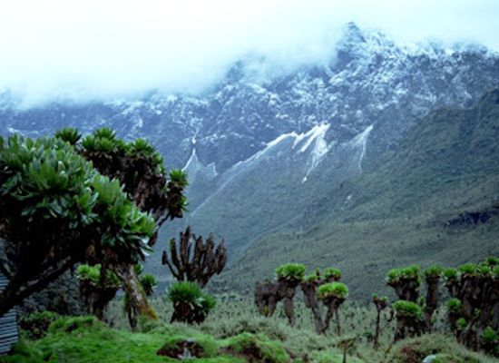 uganda/rwenzori-mountains-national-park/landmark/rwenzori-mountains